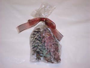 Instructions for making Pinecone Fire Starters will help you get the fireplace going this winter.