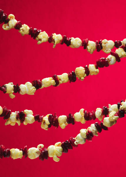 Create a garland of popcorn and cranberries for your Christmas tree